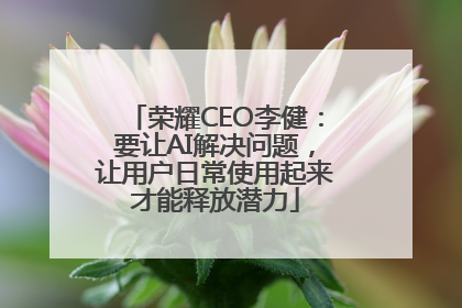 荣耀CEO李健：要让AI解决问题，让用户日常使用起来才能释放潜力