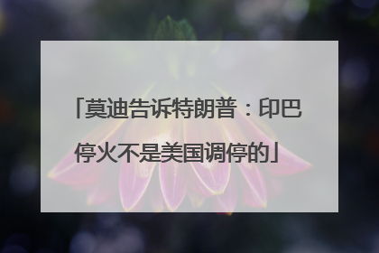 莫迪告诉特朗普：印巴停火不是美国调停的