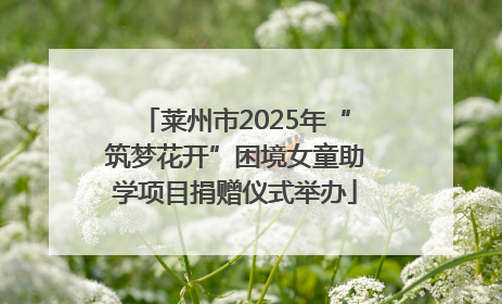 莱州市2025年“筑梦花开”困境女童助学项目捐赠仪式举办