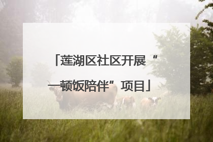 莲湖区社区开展“一顿饭陪伴”项目