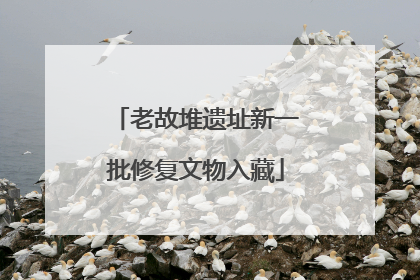 老故堆遗址新一批修复文物入藏