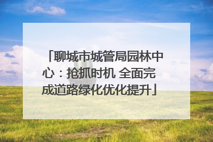 聊城市城管局园林中心：抢抓时机 全面完成道路绿化优化提升