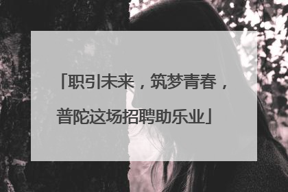 职引未来，筑梦青春，普陀这场招聘助乐业