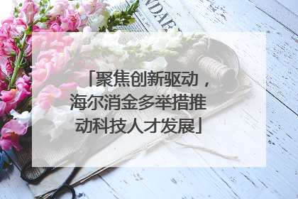 聚焦创新驱动，海尔消金多举措推动科技人才发展
