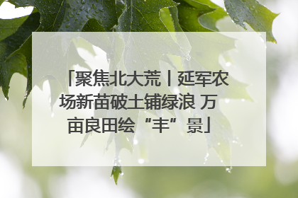 聚焦北大荒丨延军农场新苗破土铺绿浪 万亩良田绘“丰”景