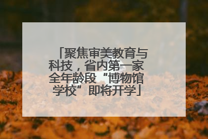 聚焦审美教育与科技，省内第一家全年龄段“博物馆学校”即将开学