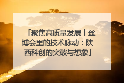 聚焦高质量发展丨丝博会里的技术脉动：陕西科创的突破与想象