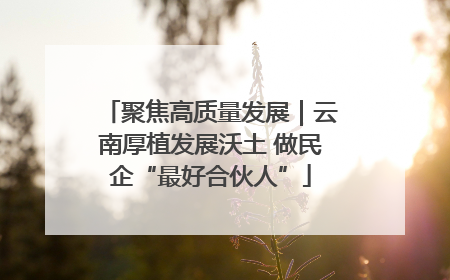 聚焦高质量发展｜云南厚植发展沃土 做民企“最好合伙人”