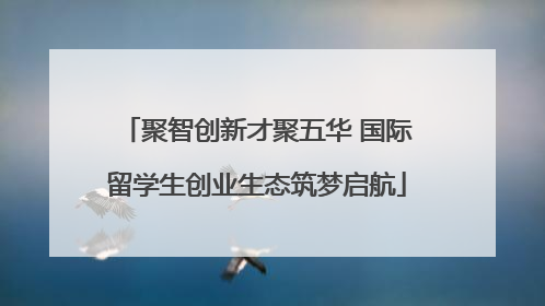 聚智创新才聚五华 国际留学生创业生态筑梦启航