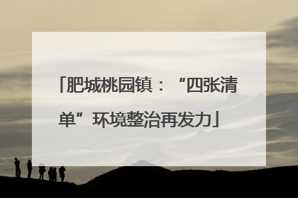 肥城桃园镇：“四张清单”环境整治再发力