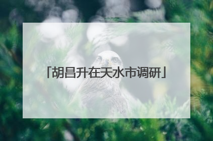 胡昌升在天水市调研