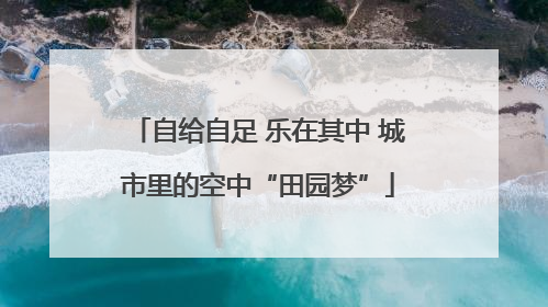 自给自足 乐在其中 城市里的空中“田园梦”