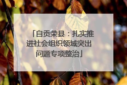 自贡荣县：扎实推进社会组织领域突出问题专项整治