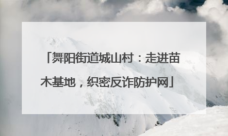 舞阳街道城山村：走进苗木基地，织密反诈防护网