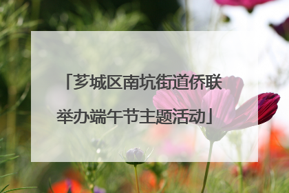 芗城区南坑街道侨联举办端午节主题活动