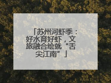 苏州河虾季：好水育好虾，文旅融合绘就“舌尖江南”