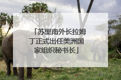 苏里南外长拉姆丁正式出任美洲国家组织秘书长
