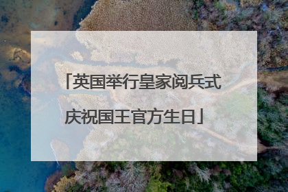 英国举行皇家阅兵式庆祝国王官方生日
