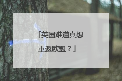 英国难道真想重返欧盟？