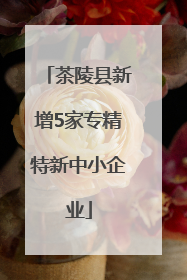 茶陵县新增5家专精特新中小企业