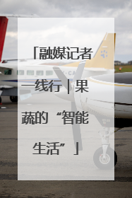 融媒记者一线行｜果蔬的“智能生活”