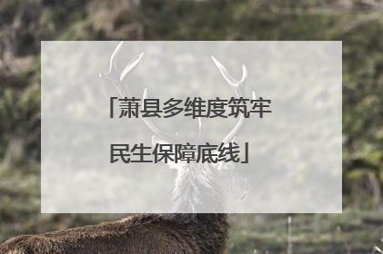 萧县多维度筑牢民生保障底线
