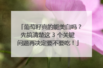葡萄籽真的能美白吗？先搞清楚这 3 个关键问题再决定要不要吃！