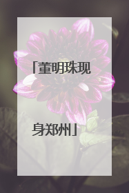 董明珠现身郑州