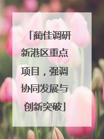 蔺佳调研新港区重点项目，强调协同发展与创新突破