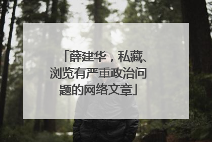 薛建华，私藏、浏览有严重政治问题的网络文章