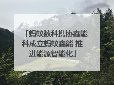 蚂蚁数科携协鑫能科成立蚂蚁鑫能 推进能源智能化