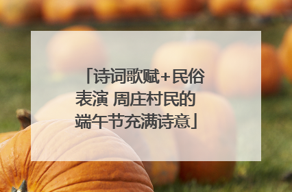 诗词歌赋+民俗表演 周庄村民的端午节充满诗意