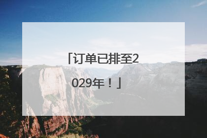 订单已排至2029年！