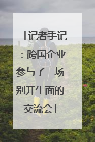 记者手记：跨国企业参与了一场别开生面的交流会
