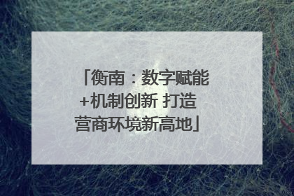 衡南：数字赋能+机制创新 打造营商环境新高地