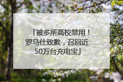 被多所高校禁用！罗马仕致歉，召回近50万台充电宝