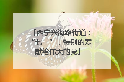 西宁兴海路街道：“七一”，特别的爱献给伟大的党