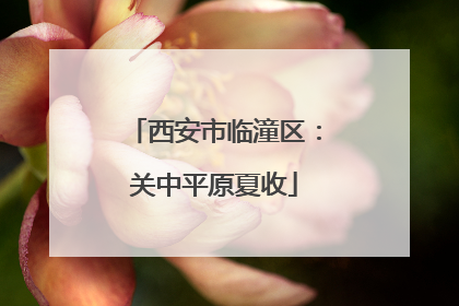 西安市临潼区：关中平原夏收