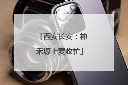 西安长安：神禾塬上麦收忙