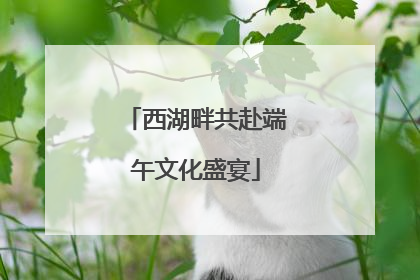 西湖畔共赴端午文化盛宴