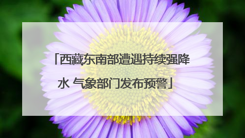西藏东南部遭遇持续强降水 气象部门发布预警