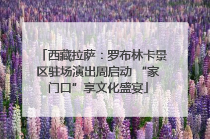 西藏拉萨：罗布林卡景区驻场演出周启动 “家门口”享文化盛宴