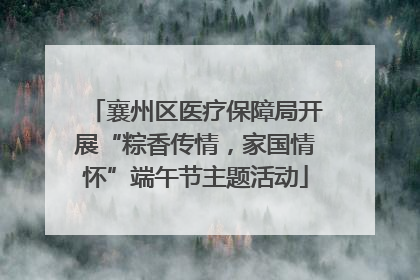 襄州区医疗保障局开展“粽香传情，家国情怀”端午节主题活动