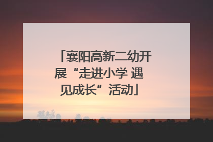 襄阳高新二幼开展“走进小学 遇见成长”活动