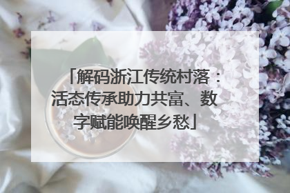 解码浙江传统村落：活态传承助力共富、数字赋能唤醒乡愁