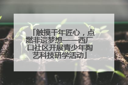 触摸千年匠心，点燃非遗梦想——西厂口社区开展青少年陶艺科技研学活动