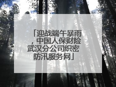 迎战端午暴雨，中国人保财险武汉分公司织密防汛服务网