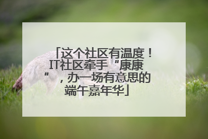 这个社区有温度！IT社区牵手“康康”，办一场有意思的端午嘉年华