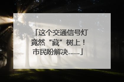 这个交通信号灯竟然“藏”树上！市民盼解决……