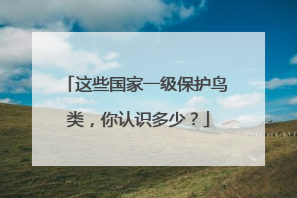 这些国家一级保护鸟类，你认识多少？